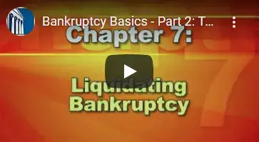 part 2 types of bankruptcy